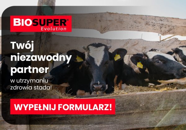 MAAXAMMON - POST - 1 LP (11.02)